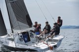 rooster cay28 whyw24 sun 750 6840